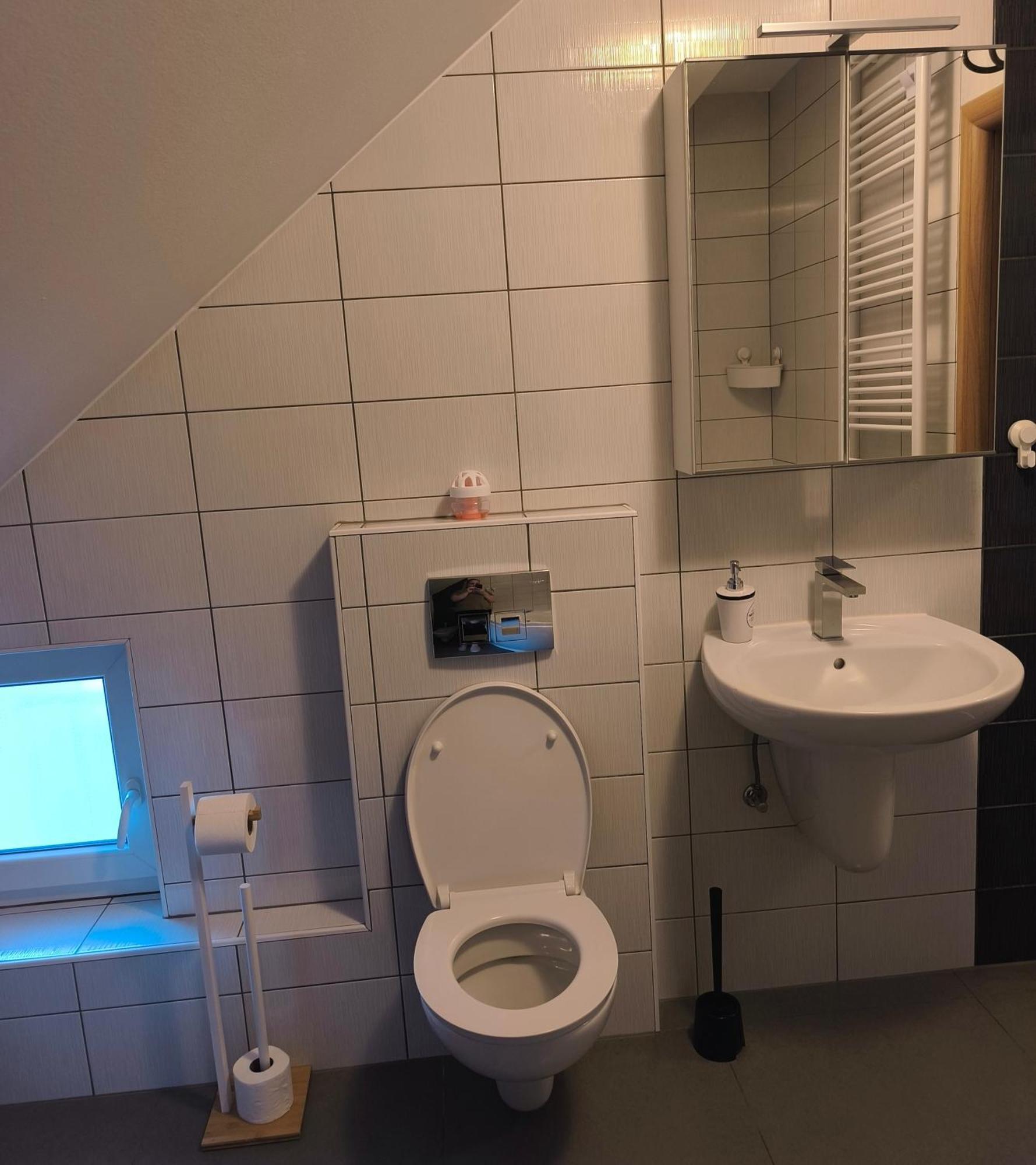 Apartment Cedar Zagreb Airport - Velika Gorica Scitarjevo Luaran gambar